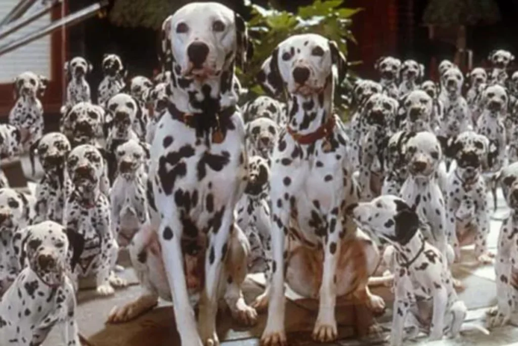 Pongo and Perdita (The Dalmatians)